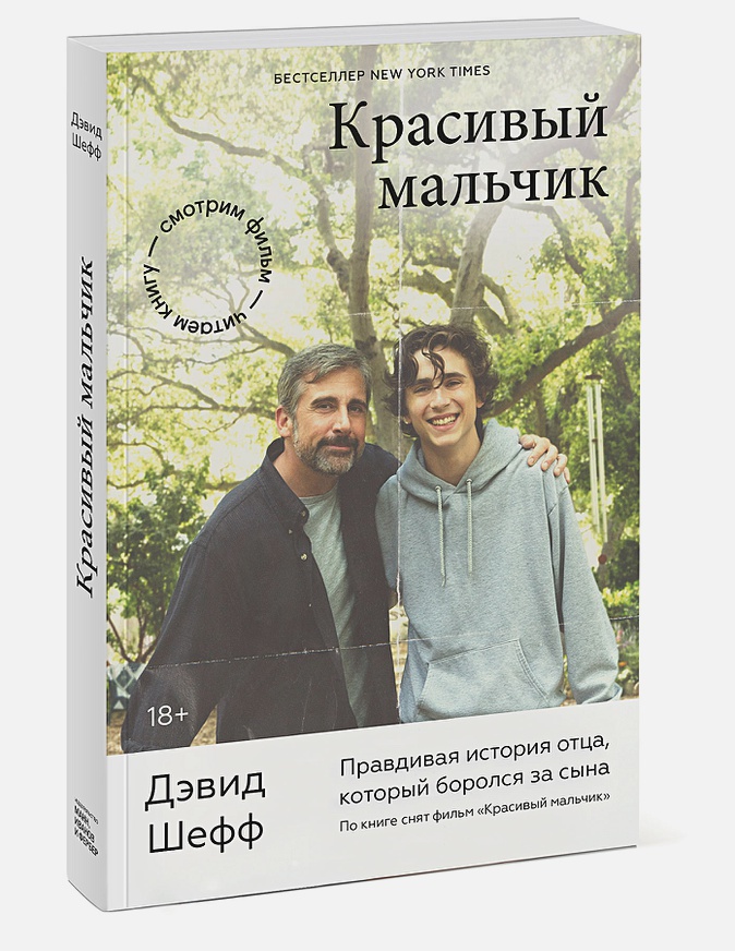 

Красивый мальчик. Правдивая история отца, который боролся за сына