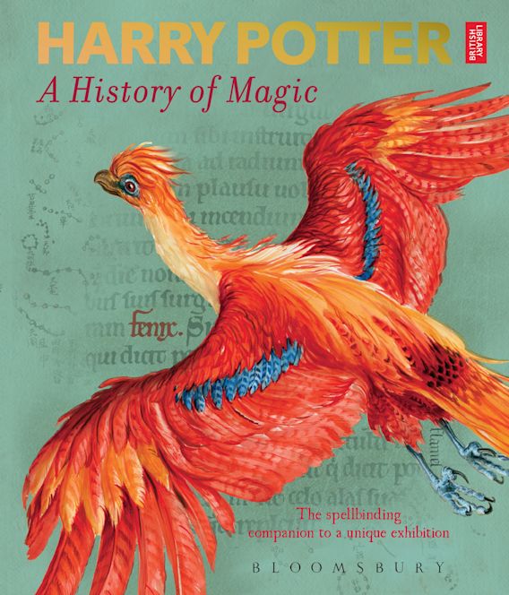 

Harry Potter: A History of Magic PB