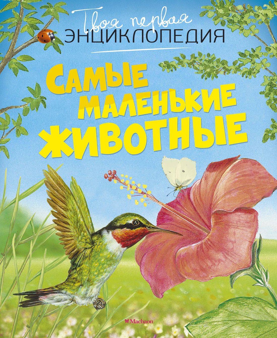 

Самые маленькие животные