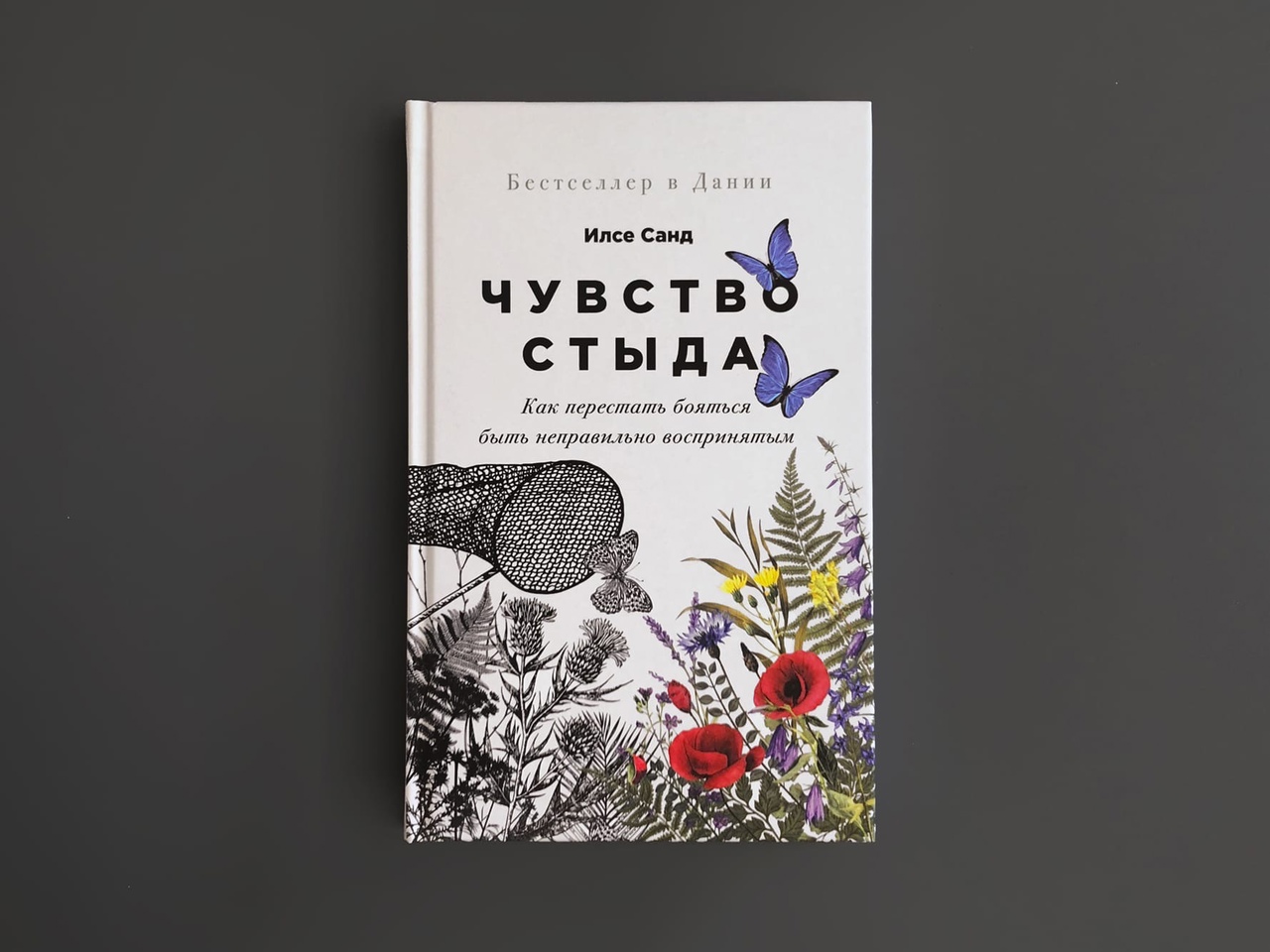 Как перестать бояться. Илсе Санд чувство стыда. Чувство стыда книга. Илсе Санд компас эмоций. «Чувство стыда» Илсе Санд, Альпина Паблишер.