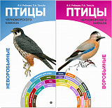 Птицы Черноморского Кавказа.  Воробьиные и неворобьиные.  Веер-определитель