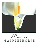 Mapplethorpe.  Flowers