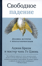 Свободное падение.  Дхамма встречи с неблагоприятным