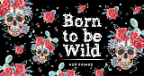 Мой планер.  Кактус в Мексике: Born to be Wild (мини на навивке)