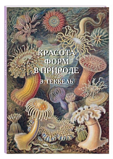 Красота форм в природе.  Э.  Геккель (твердый переплет/Великие полотна)