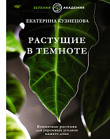 Растущие в темноте.  Комнатные растения для укромных уголков вашего дома