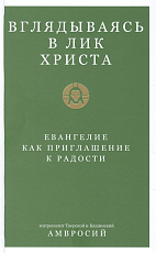 Вглядываясь в Лик Христа.  Евангелие как приглашение к радости