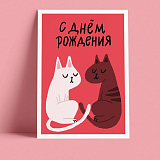 Открытка O PAPER PAPER «Кошачий др»