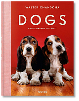 Walter Chandoha.  Dogs.  Photographs 1941-1991