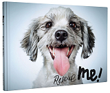Rescue Me! : Dog Adoption Portraits and Stories from New York City