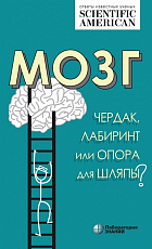 Мозг: чердак,  лабиринт или опора для шляпы?