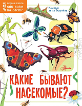 Какие бывают насекомые?