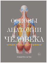 Основы анатомии человека.  Наглядное руководство для художников