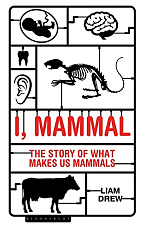 Mammal: The Story of What Makes Us Mammals