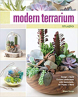 Modern Terrarium Studio: Design and Build Custom Succulent and Air Plant Landscapes