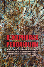 В жерновах революции: Российская интеллигенция между белыми и красными в пореволюционные годы: Сборник документов и материалов
