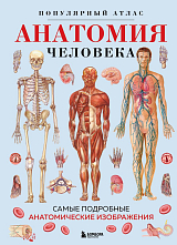 Анатомия человека.  Популярный атлас.  Самые подробные анатомические изображения