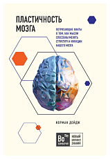 Пластичность мозга.  Потрясающие факты о том,  как мысли способны менять структуру и функции нашего мозга