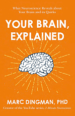 Your Brain,  Explained