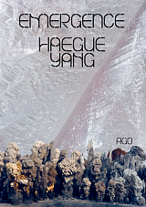 Emergence.  Haegue Yang