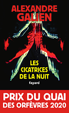 Les cicatrices de la nuit