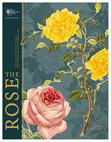 The Rose: The history of the world's favourite flower in 40 roses