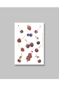 Наклейки Столярова «Berries stickers 1»